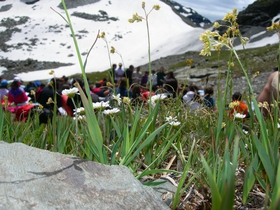 Vacanza con "Stand by me", luglio 2008, La Thuile