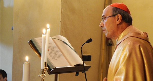 Il Card. Velasio De Paolis