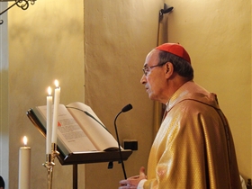 Il Card. Velasio De Paolis