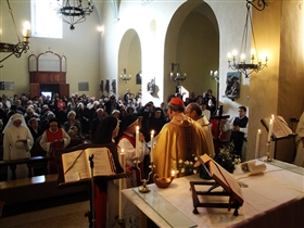 Il Card. Velasio De Paolis