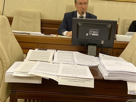 L'audizione al Senato