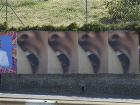 Immagine 3